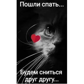 Стикер