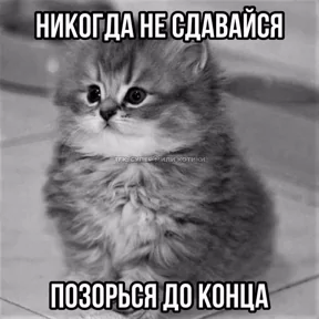 Стикер
