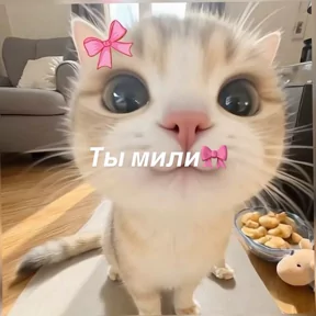 Стикер