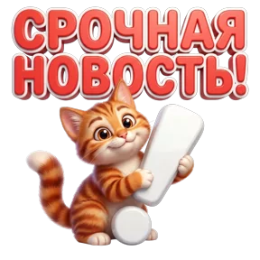 Стикер