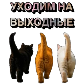 Стикер