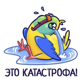 Стикер