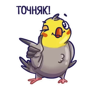 Стикер из сообщения канала