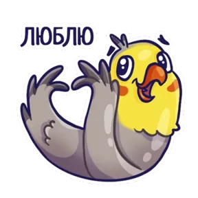 Стикер из сообщения канала