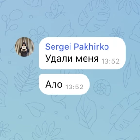 Seregga — стикер для MAX