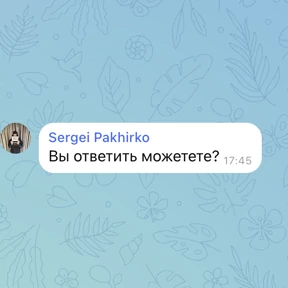 Seregga — стикер для MAX