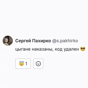 Seregga — стикер для MAX