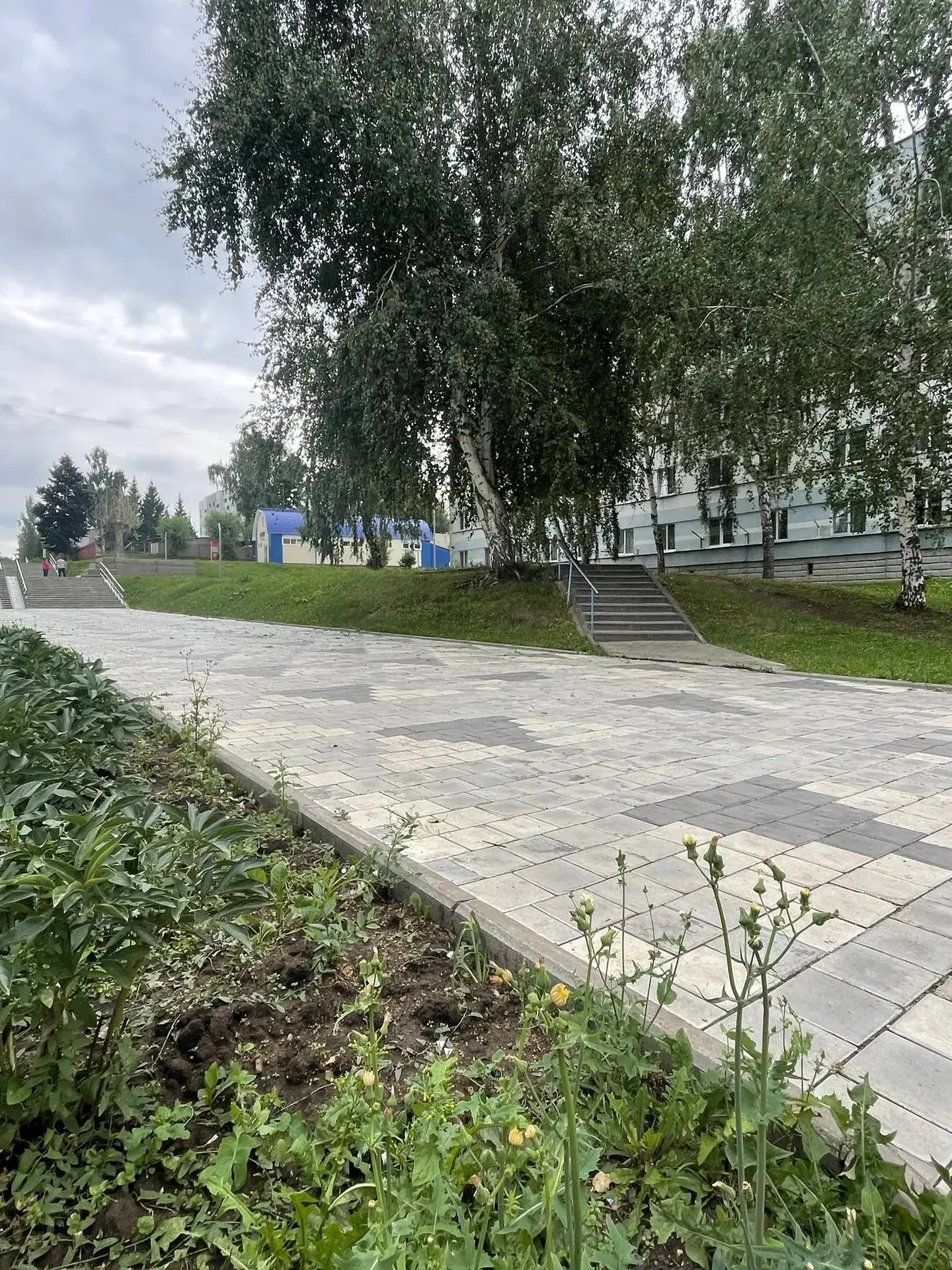 Прогноз погоды в Татарстане и Камских Полянах. Фото Дарьи Редюковой.