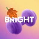 Bright Fit