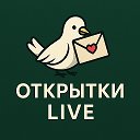 Открытки LIVE Поздравляю Пожелания Поддержка Отмечаем Праздник Улыбнись Родственников Милые Коллегам Подруге 17 марта Марта