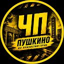 ПУШКИНО