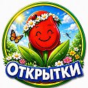 🌷 Открытки