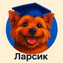 Ларсик на Экономе и ИМЭБ