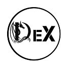 Светлана Покровская | ДеХВОСТинг