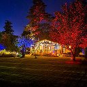 Ландшафтная подсветка деревьев и сада PRO-EXPERT Hugge