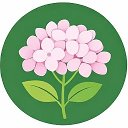 Ксюнин сад. Саженцы и растения в Клину