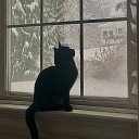 Lofi Girl | Учёба