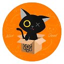 Кот Шрёдингера | Наука и Факты