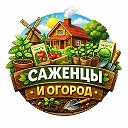 🌳 Саженцы и Огород