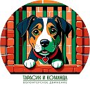 Тарасик и команда © official