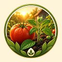Мастер Настроек