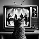 Кот Афоня и его ретро-лапки