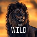 TERRA WILD | Мир зверей