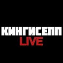 СЕТКА ДОРОЖНОГО