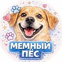 Логотип канала