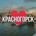Красногорск онлайн • Новости