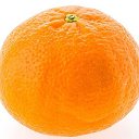 Парк и магазин мандарин 🍊 👍🇷🇺