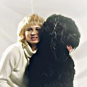 groomer24 Стрижка собак