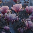 Заметки по маслам