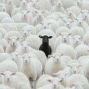 Африканец в России