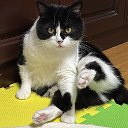 Солнце в рукаве