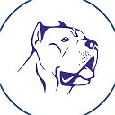 «ДЖУМБО»▪️ ЗООГОСТИНИЦА ▪️ ХЕНДЛИНГ ЗАЛ