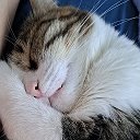 Веста и Компания😊