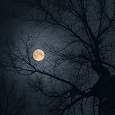 Высшая Магия. Практикум.