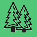 Хвойная линия