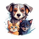 КошкИ / КотикИ / КотЫ