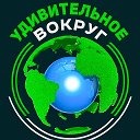 Удивительное вокруг