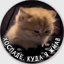 Тестирование Макс