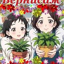 Всё в цвету и розовой пудре.