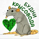 БУДНИ КРЫСОВОДА