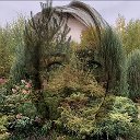 Ландшафтный эзотерик