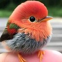 Добротерапевт💊