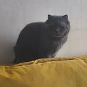 Своё о ни о чем