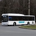 Служебный транспорт СК и РВЛ