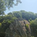 Сургутский край