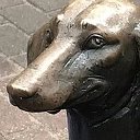 Собака бывает...